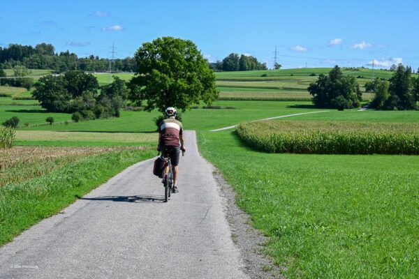 10 traumhafte Radtouren in Oberbayern zwischen München und Berchtesgaden 2 Radtouren in Oberbayern: Radler unterwegs auf einem Weg zwischen Wiesen und Feldern